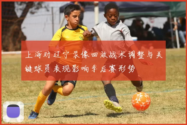 上海对辽宁录像回放战术调整与关键球员表现影响季后赛形势